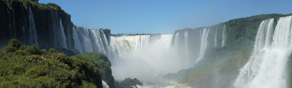 Alumni in Brazil